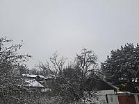 Olešná