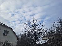 Olešná