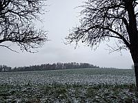 Lukovany
