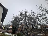 Olešná