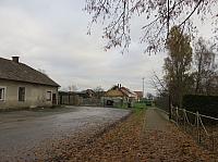 Třibřichy