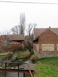 Třibřichy