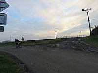 Třibřichy