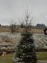 Skalité