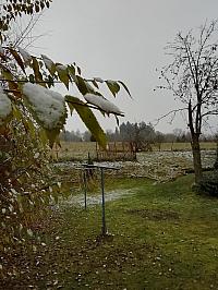 Skalité