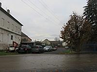Třibřichy