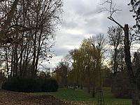 Brno - střed