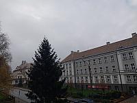 Český Těšín