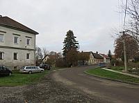 Třibřichy