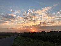 Fotografie