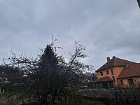 Olešná