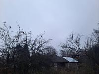 Olešná