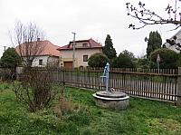 Třibřichy