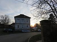 Třibřichy