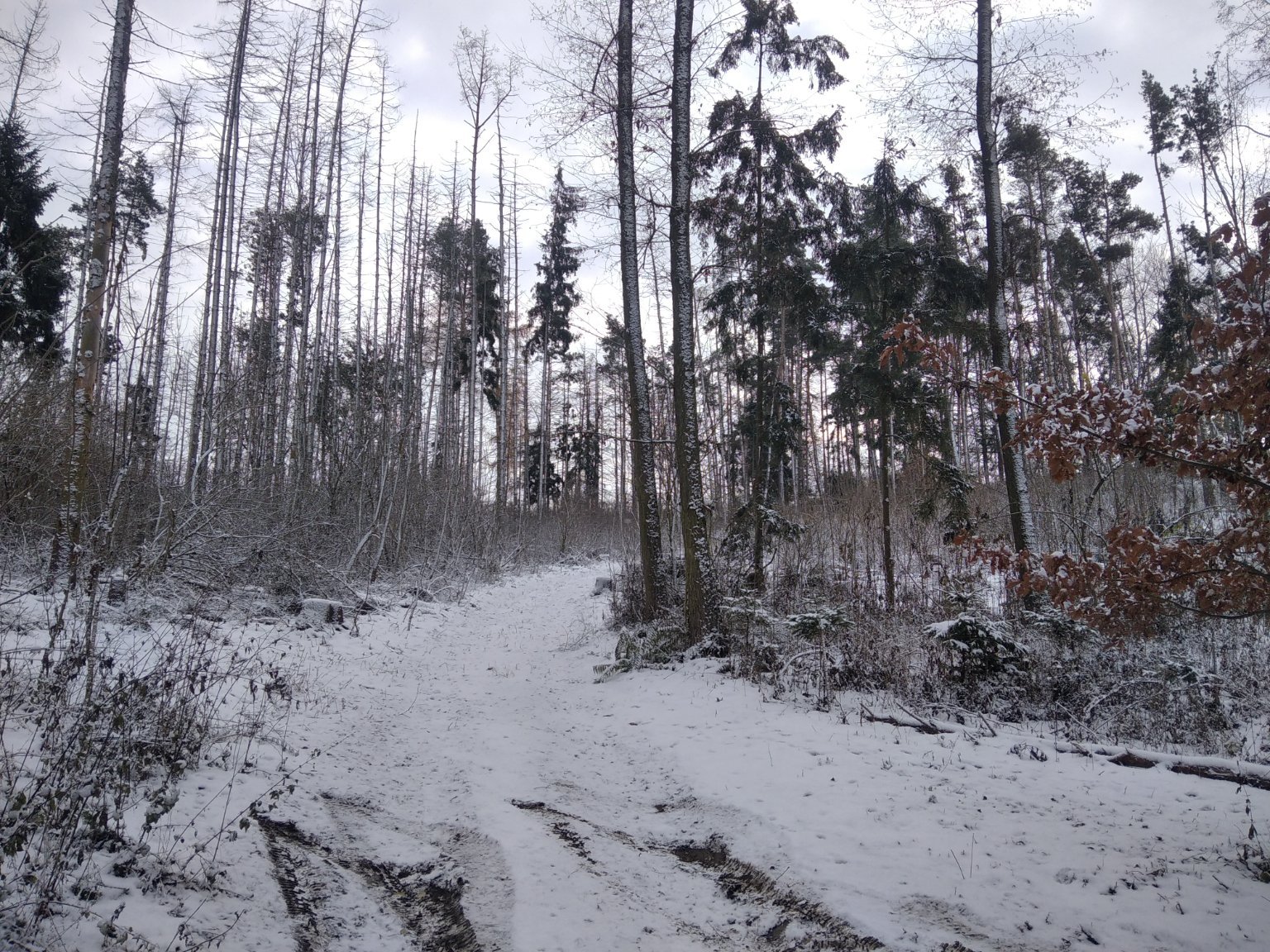 Třebíč-Borovina