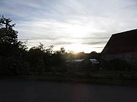 Třibřichy
