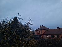 Olešná
