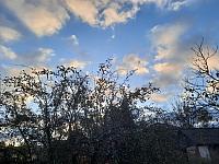 Olešná