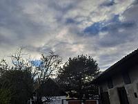 Olešná