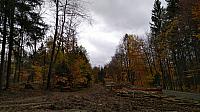 Rybniště