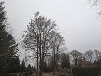 Jihlava