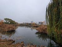 Chomutov
