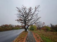 Chomutov