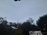 Olešná