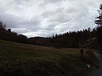Hrčava