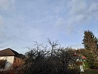 Olešná