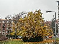 Havířov