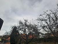 Olešná
