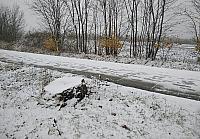Třebíč-Borovina