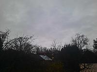 Olešná