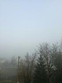 Hvozdnica