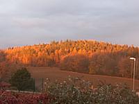 Zajíčkov