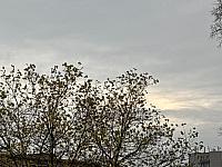 Havířov