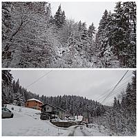 Skalité
