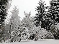 Němčice Zhoř
