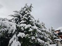 Chomutov
