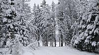 Rybniště