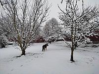 Vochov 