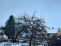 Olešná