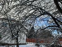 Olešná
