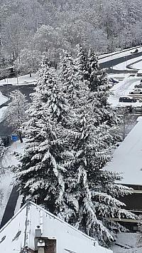 Chomutov