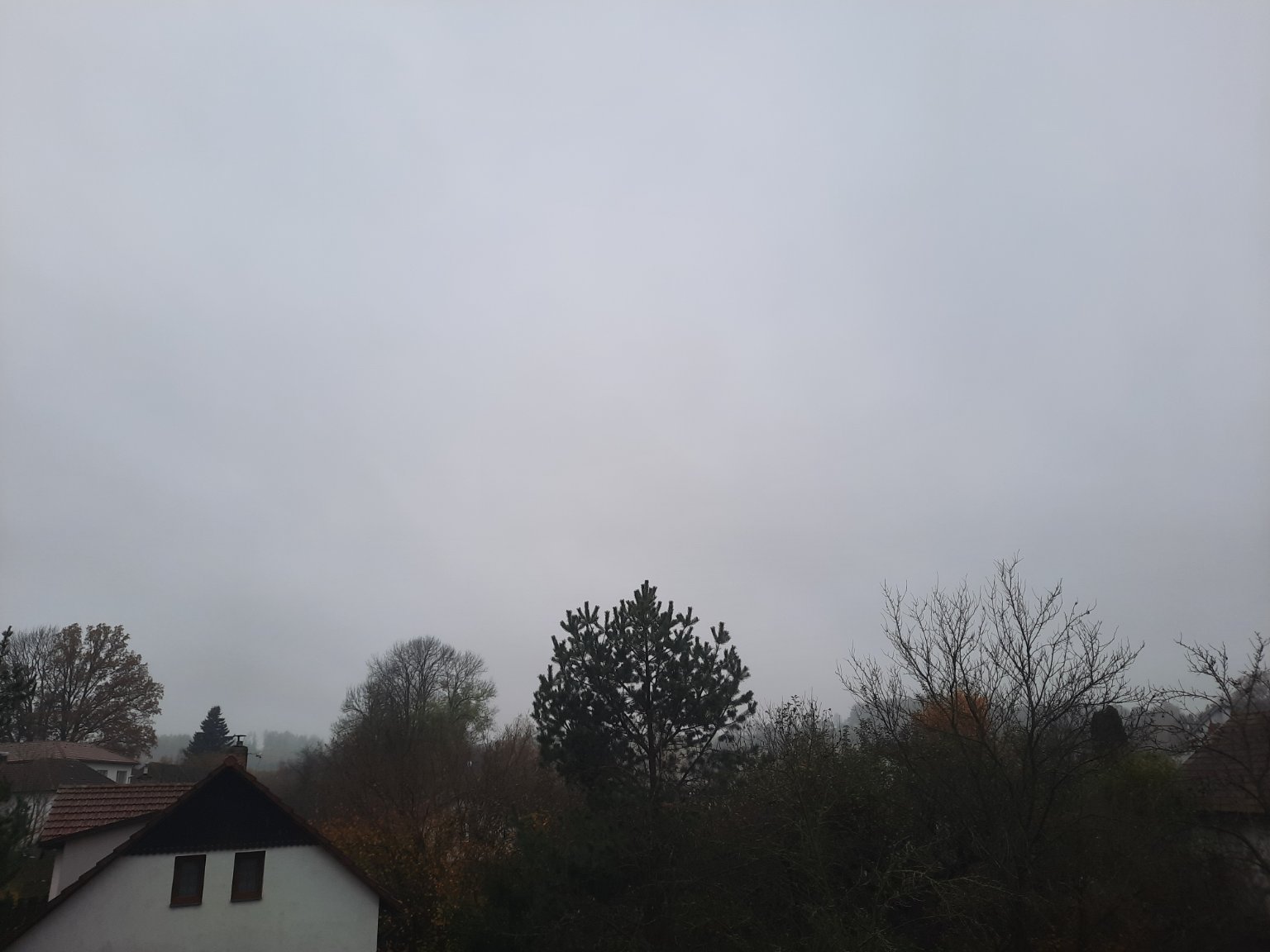 Olešná