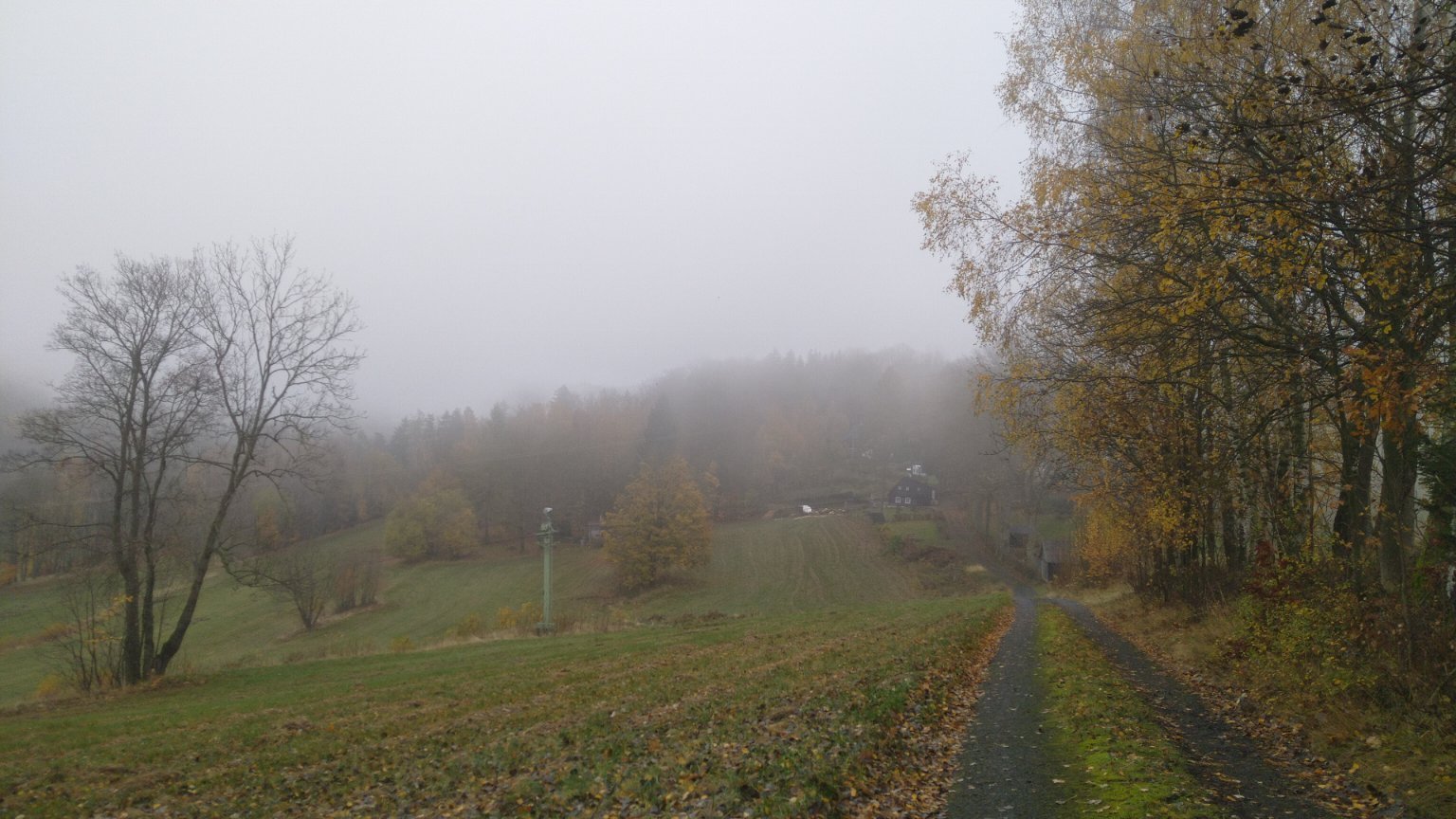 Rozhled