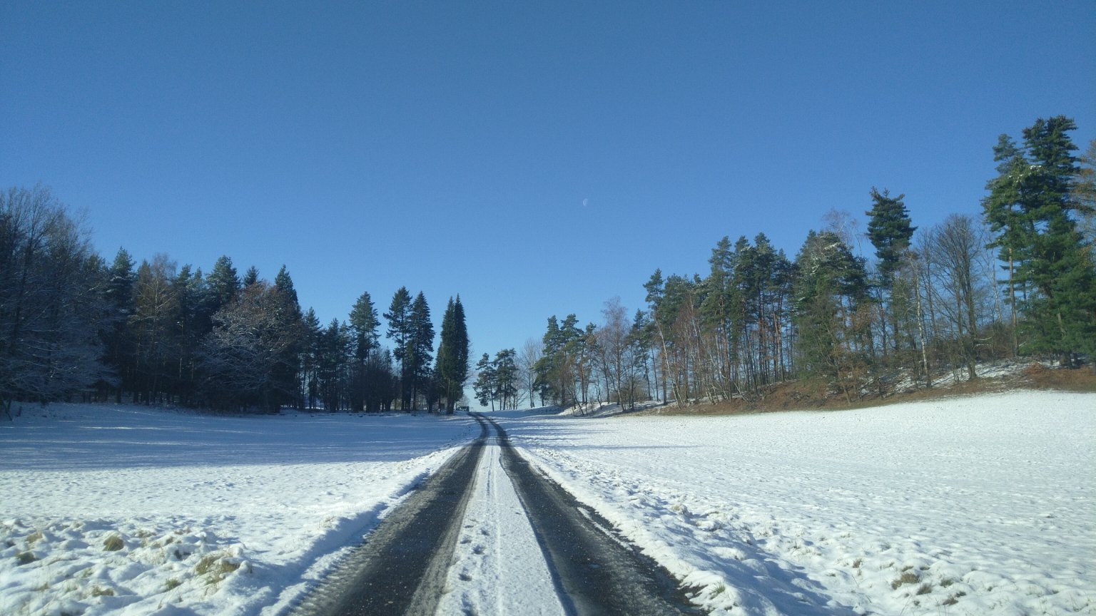 Líska