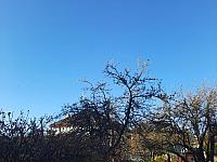 Olešná