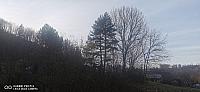 Holčovice